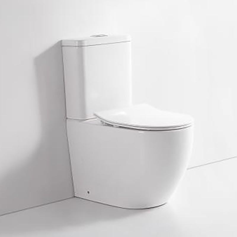 Sarina Rimless Bathroom Toilet Suite Ceramic Back To Wall Soft Close Seat Ren10